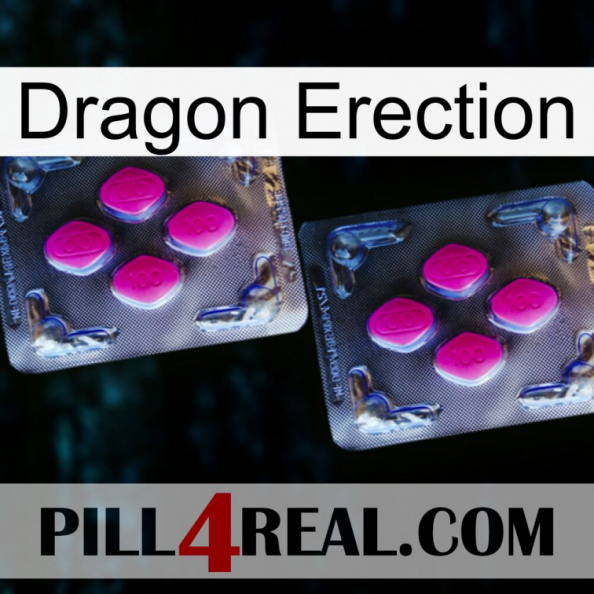 Dragon Erection 01.jpg